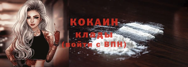 тгк Абинск