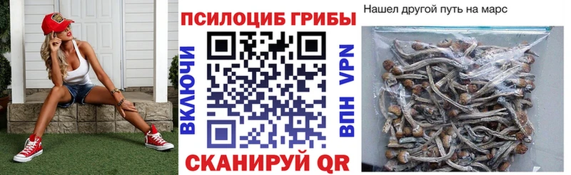 Псилоцибиновые грибы мухоморы  купить наркоту  Суоярви 
